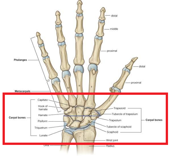 Hook of Hamate Fracture: レントゲン陰性時に次にすべきは、さて？_b0112009_13242699.png