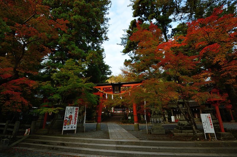 f0032011_19265952.jpg