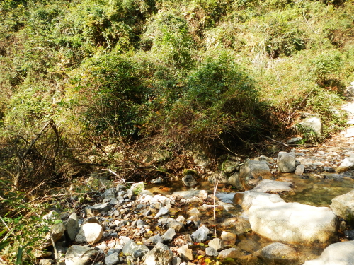 e0211912_11332587.jpg