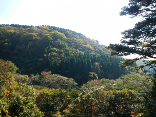 e0211912_1139345.jpg
