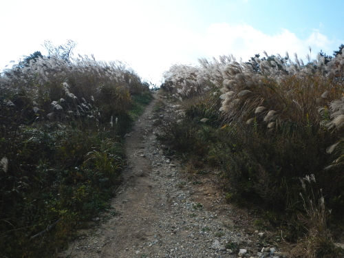 e0211912_11395353.jpg