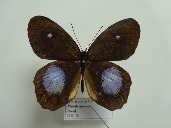 d0004617_13681.jpg
