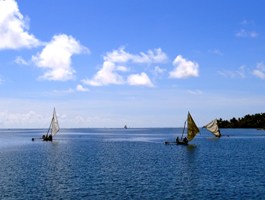 a0043520_0121025.jpg