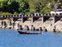a0043520_0125816.jpg