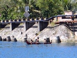 a0043520_013137.jpg