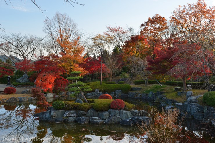 桜山公園 ～紅葉と冬桜～ 1_d0319222_1184951.jpg