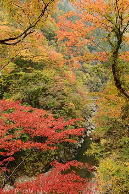 秩父 金蔵落しの渓流 紅葉 Photograph2