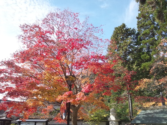 ブログに書くのは・・・_b0281924_10411266.jpg