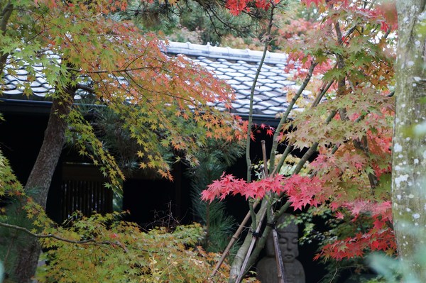 e0244024_16282848.jpg