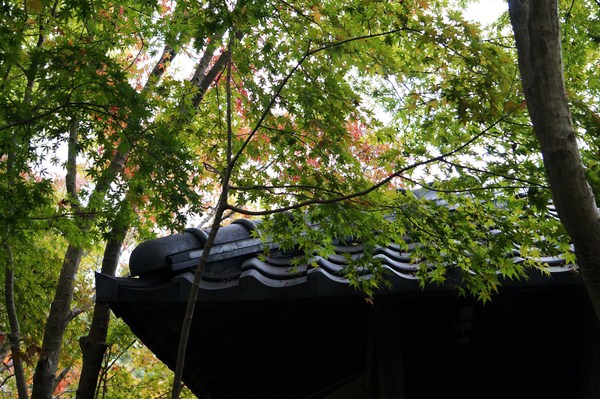 e0244024_16284617.jpg