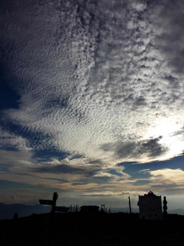 e0155231_1446183.jpg