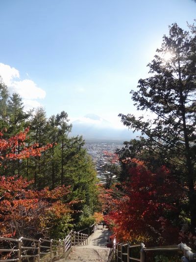 新倉浅間公園、紅葉。_c0074332_23133627.jpg