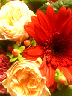 e0029132_1213086.jpg