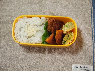 息子弁当、植物、光など_f0042637_23071344.jpg