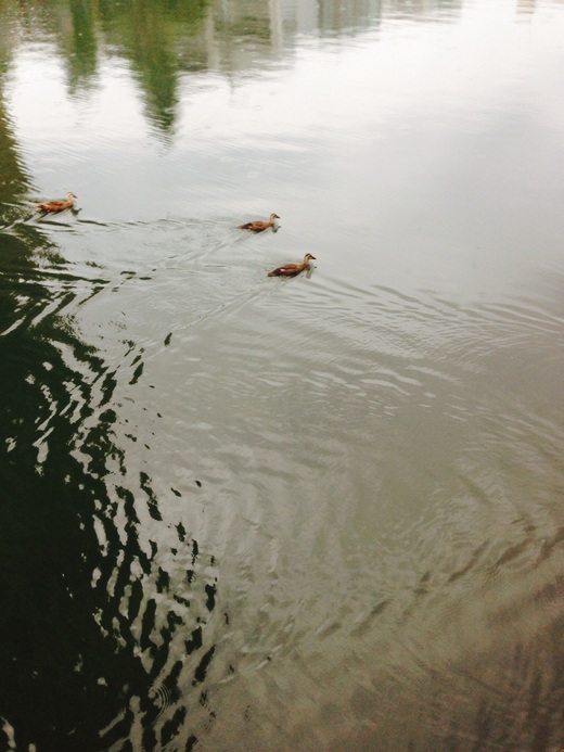 c0234439_844968.jpg