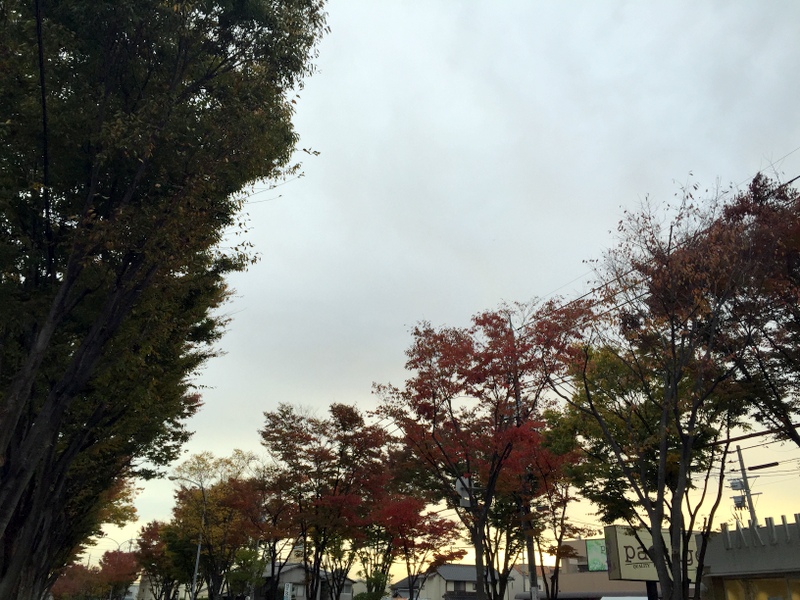 b0057140_23593796.jpg