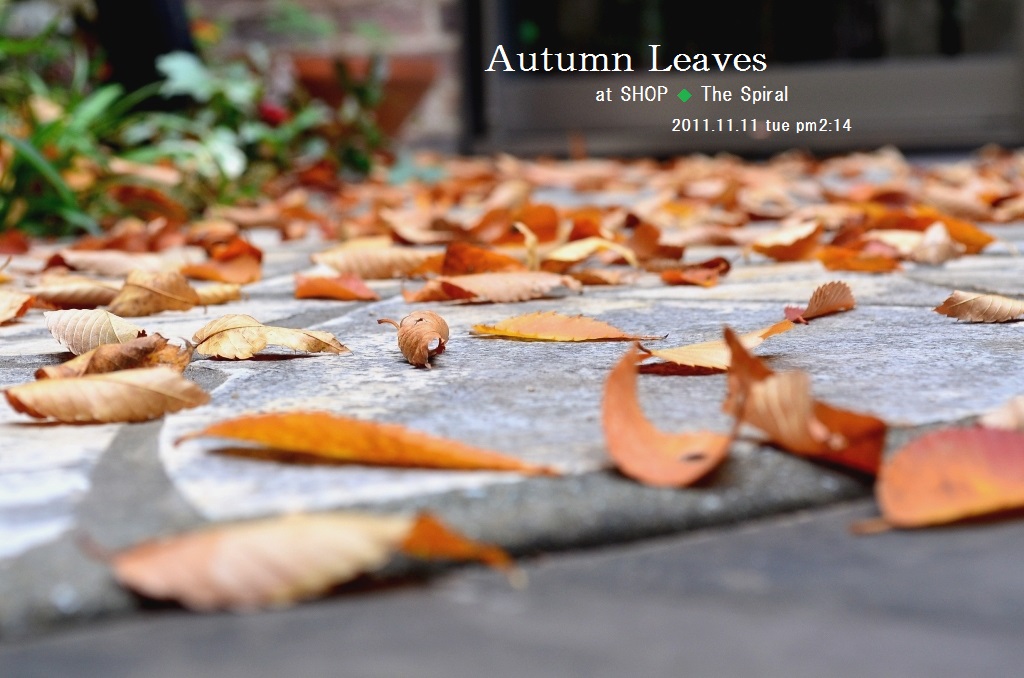 ”Autumn Leaves 2014　at SHOP ◆ The Spiral\"_d0153941_16382834.jpg