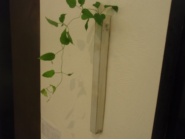 藤田佳三さんの個展 明日から始まります_b0132442_20310571.jpg