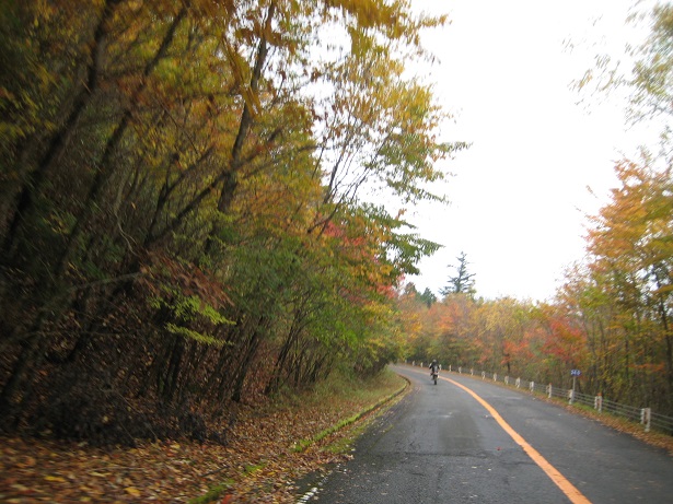 a0237349_14311567.jpg