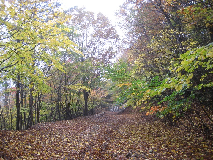 a0237349_14402040.jpg