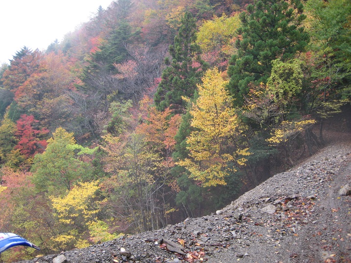 a0237349_1442227.jpg