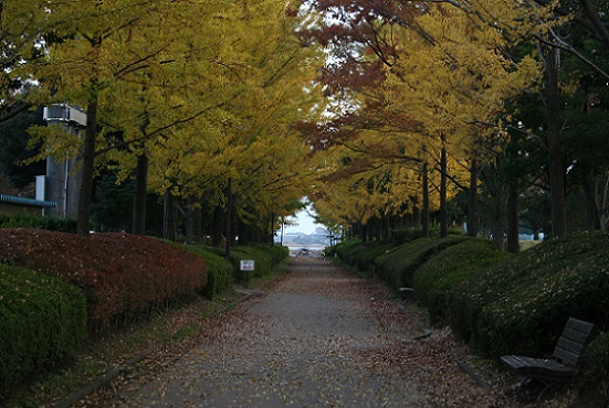 e0126350_1340339.jpg