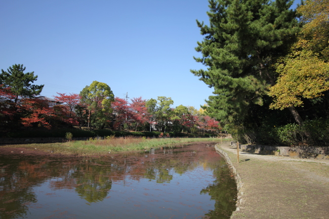 紅葉狩り散歩2014（１）_e0126054_15125334.jpg