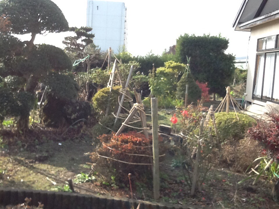 冬支度_b0093660_13381330.jpg