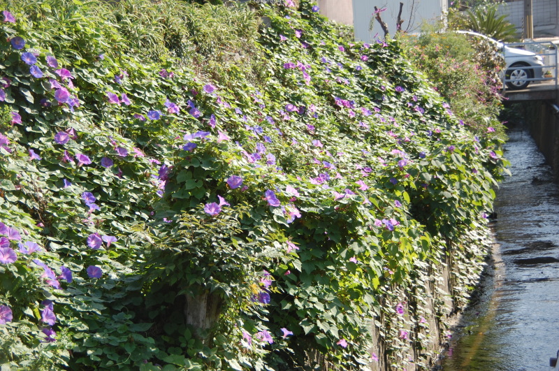 c0108460_13505616.jpg