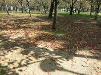 c0117570_16322418.jpg