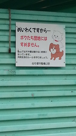 f0228680_9584031.jpg