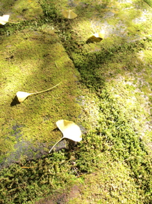 f0326784_20392884.jpg