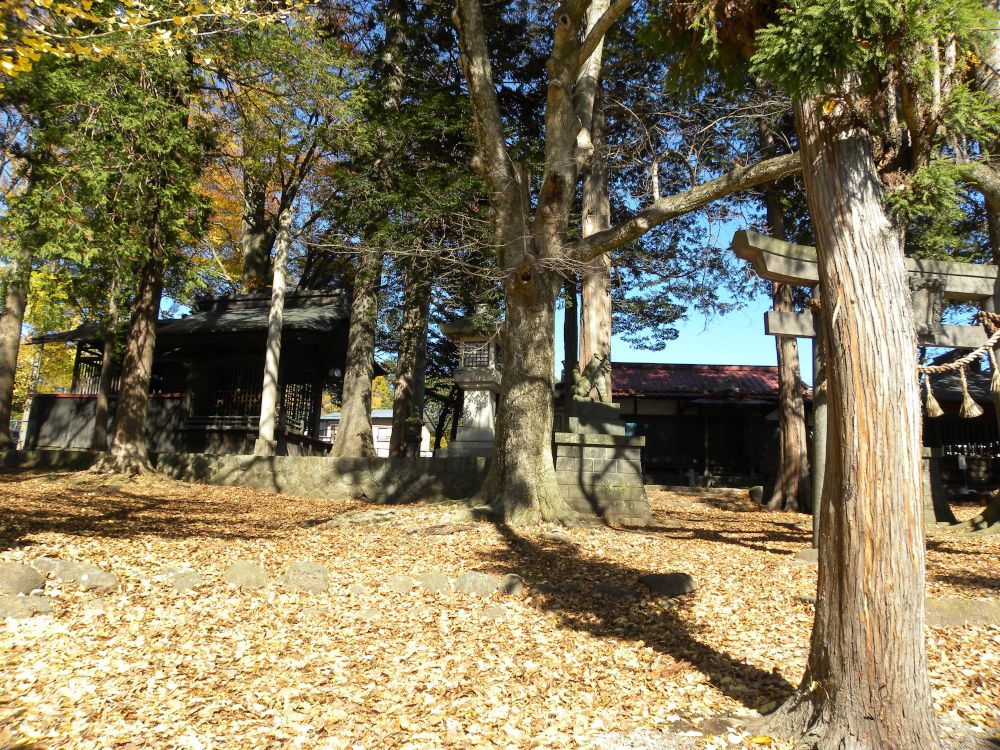 鎌倉街道・坂室編③_b0329588_08234517.jpg