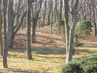 e0148889_73115.jpg