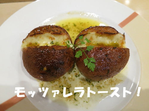 偶然の産物！アメリカハナノキ レッドサンセット 本株立ち入荷！_b0200291_22144422.jpg