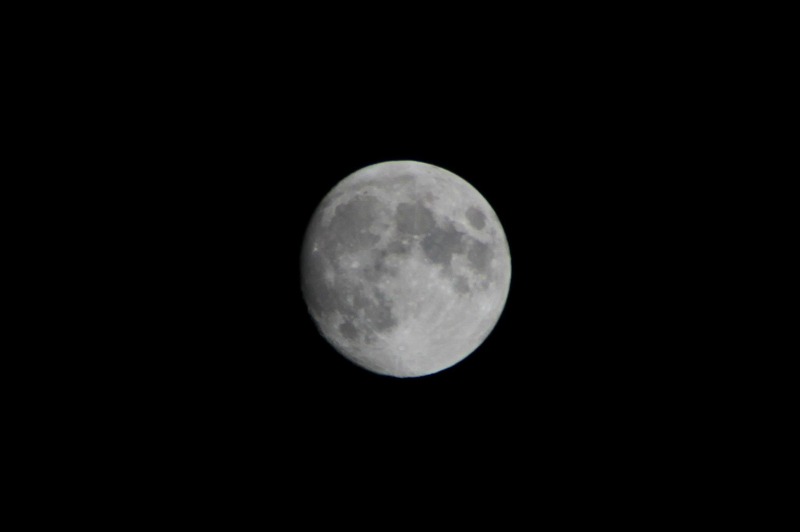 b0207491_18334133.jpg