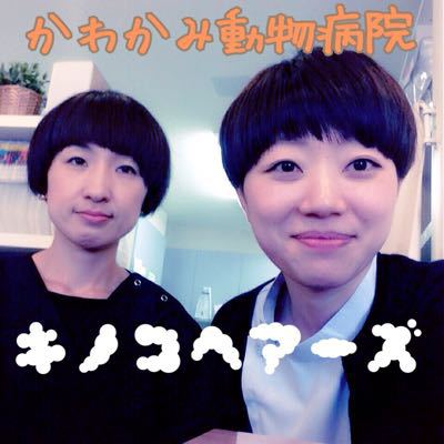 キノコヘアー かわかみ動物病院