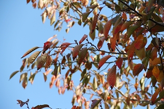 c0212298_14283990.jpg