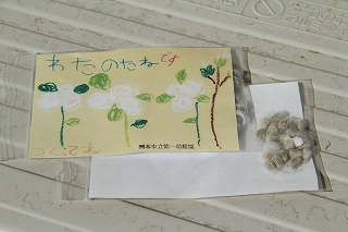 c0212298_14342049.jpg