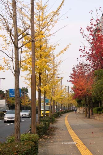 b0061108_2125663.jpg