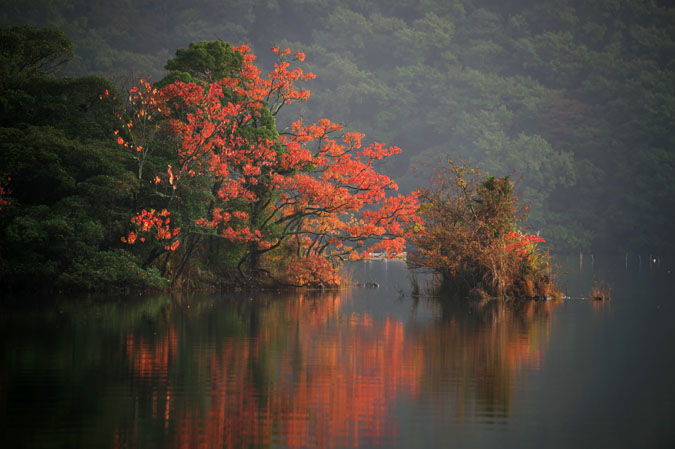 伊豆高原　一碧湖の紅葉1_a0263109_20431534.jpg