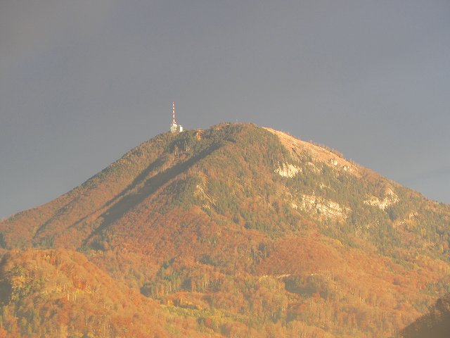 c0167813_52183.jpg