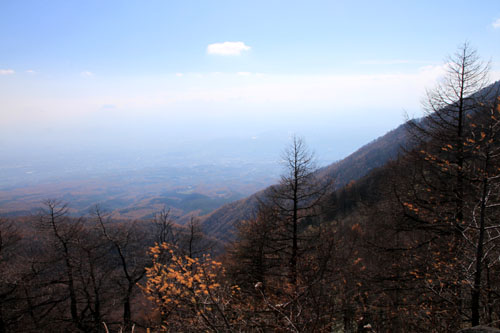 e0048413_167039.jpg