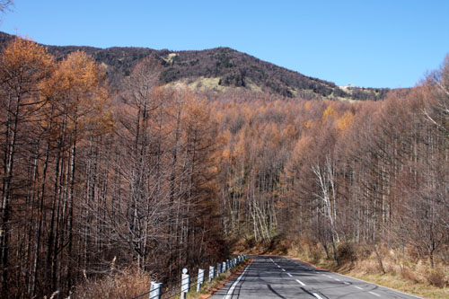 e0048413_1671372.jpg