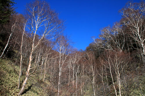 e0048413_1673767.jpg