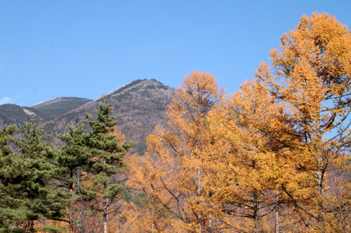 e0048413_1675366.jpg