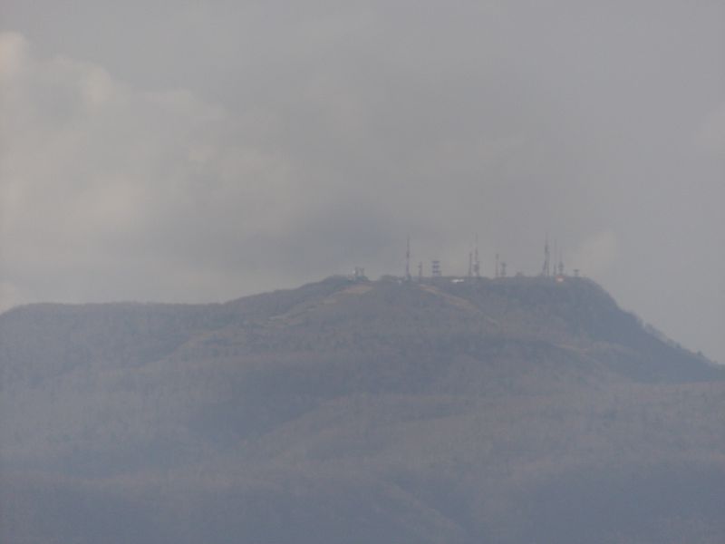 札幌の干し柿_c0025115_17523590.jpg