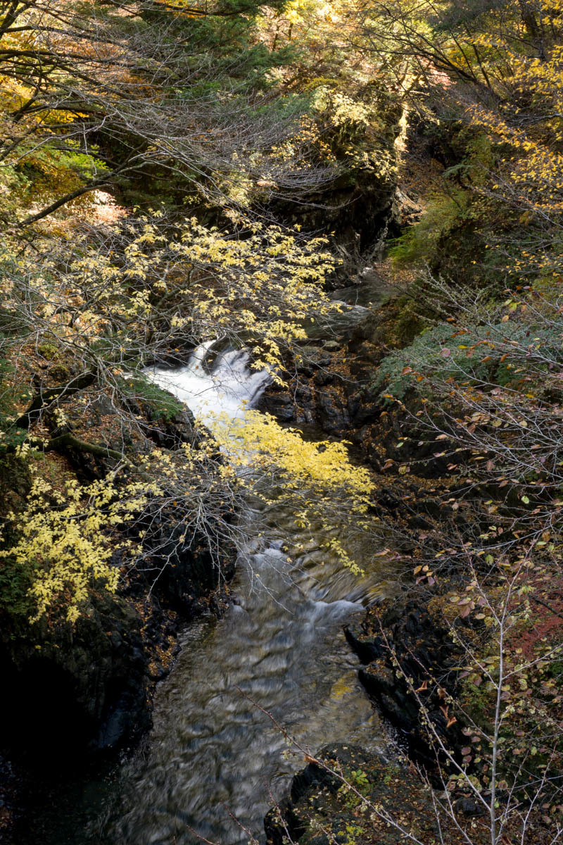 d0192516_14011301.jpg