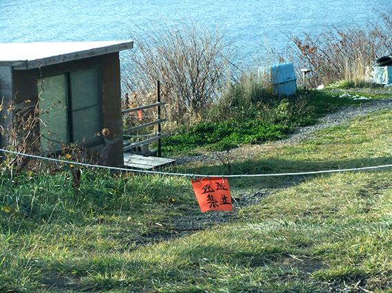 a0155319_154037.jpg