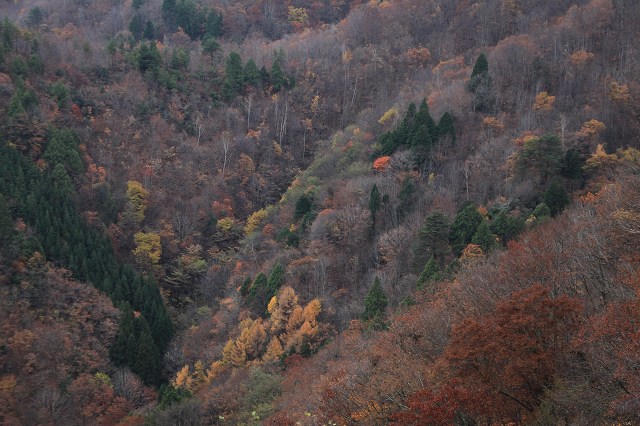 e0242721_7105412.jpg